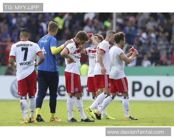 2015至2016赛季汉堡与勒沃库森精彩对决回顾与分析